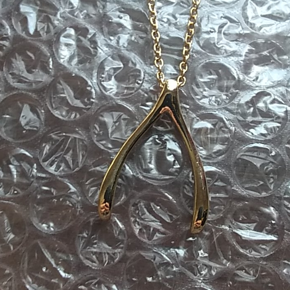 Wish bone charm necklace .